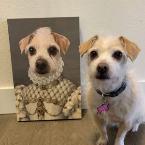 Quadro Pet Realeza | Donzela - Imagem 4