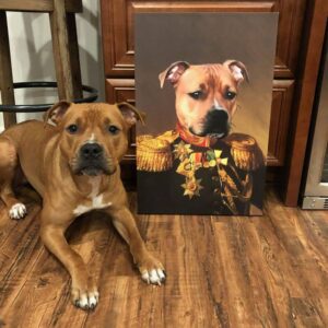 Quadro Pet Realeza | Comandante