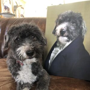 Quadro Pet Realeza | Conde - Imagem 3