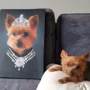 Quadro Pet Realeza | Princesa - Imagem 6