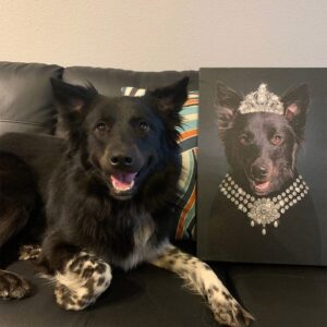 Quadro Pet Realeza | Princesa - Imagem 4