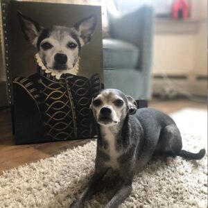 Quadro Pet Realeza | Nobre - Imagem 5