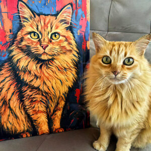 Quadro Pet | Abstrato - Imagem 6