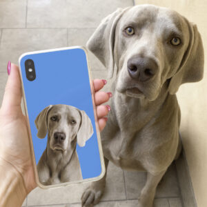 Capinha de celular Pet | Personalizada - Imagem 6