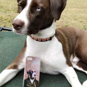 Capinha de celular Pet | Personalizada - Imagem 16