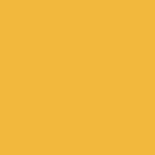 Fundos - Amarelo